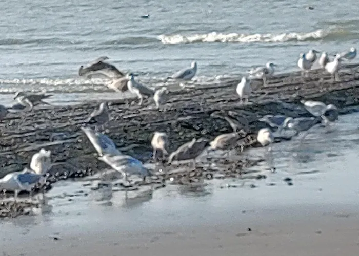 Apartman Havenzicht *