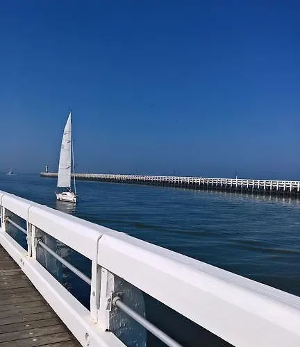 Havenzicht Apartament *